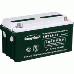 賽能蓄電池SNT12-65